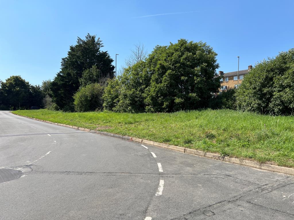 Lot: 165 - FREEHOLD PLOT OF LAND - Grass plot with mature trees on boundary